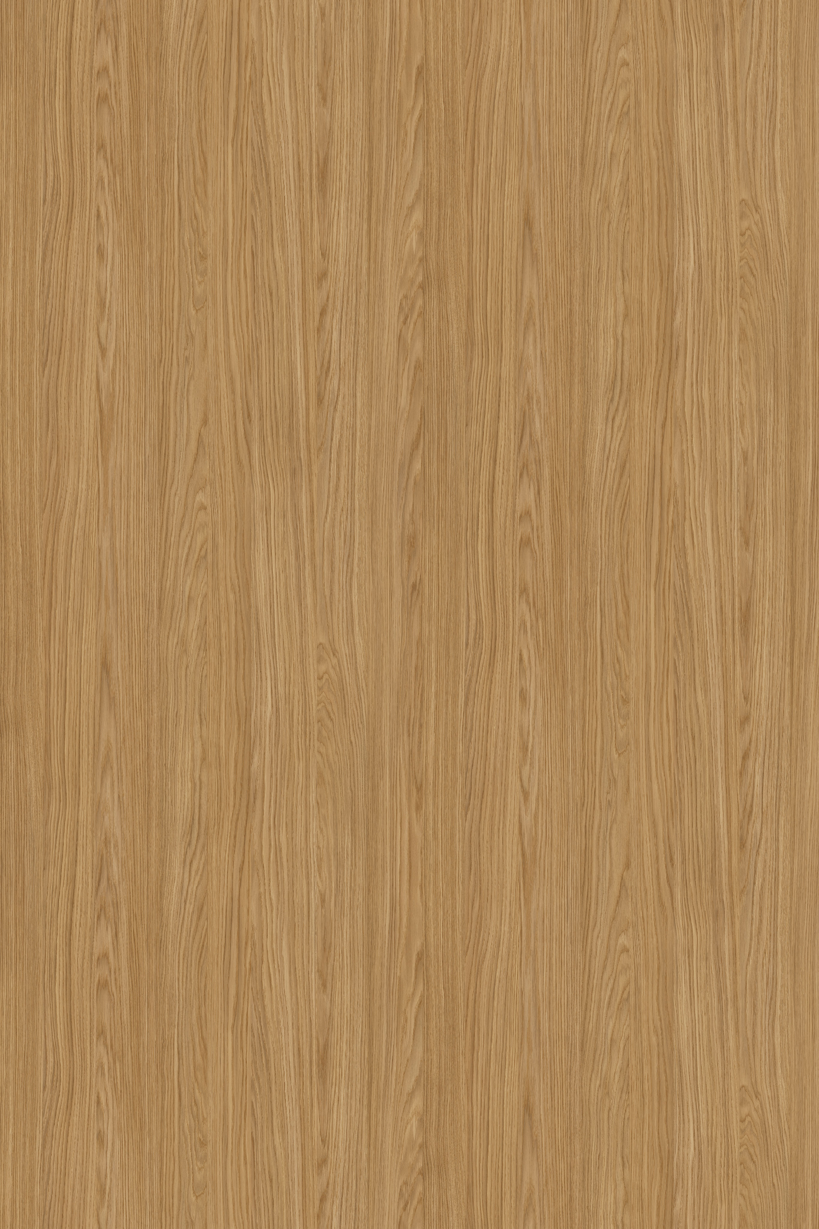 باشاك مش - Spike Oak